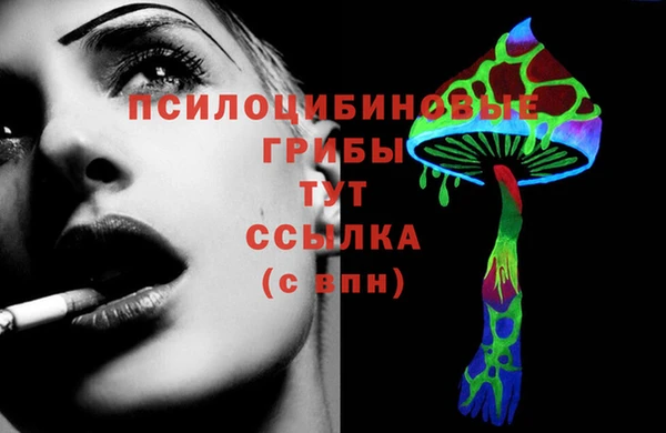 дживик Аркадак